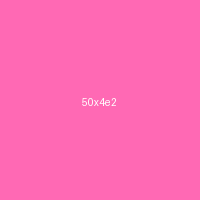 50x4e2.cn Logo